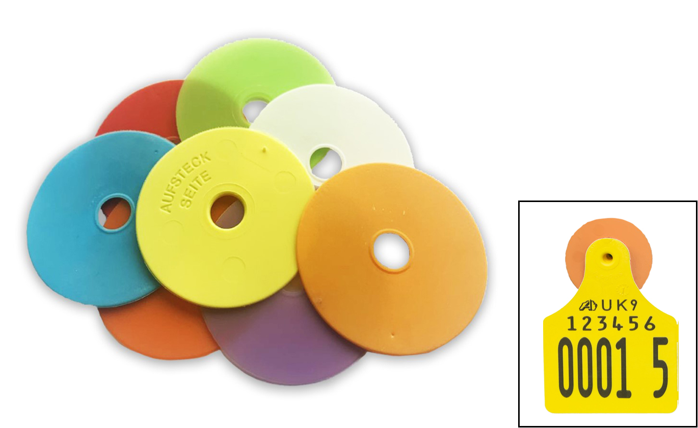 Coloured Visual washer inserts (Management tags only) 